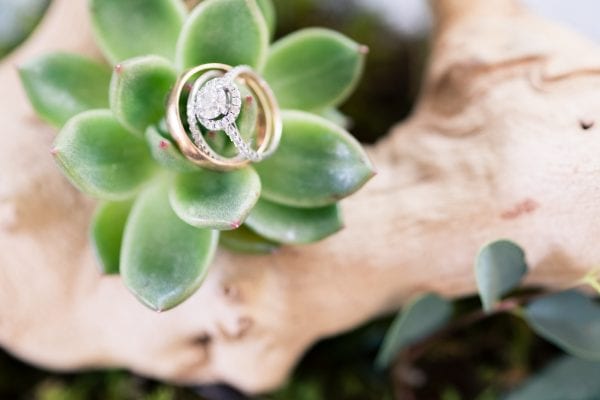 Organic luxe wedding with natural elements in Nashville, TN at outdoor garden wedding venue CJ's Off the Sqaure