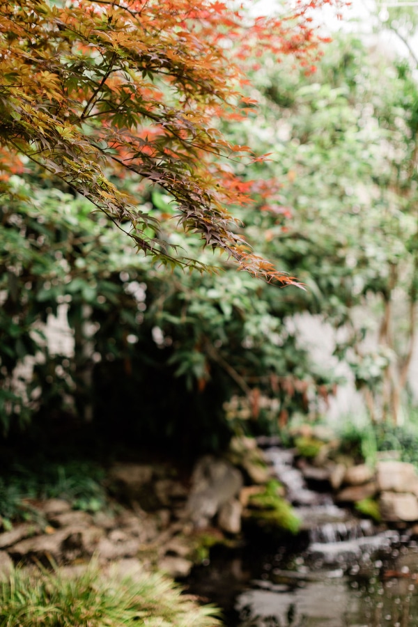 Nashville Garden Wedding + Event Venue | CJ's Off the Square